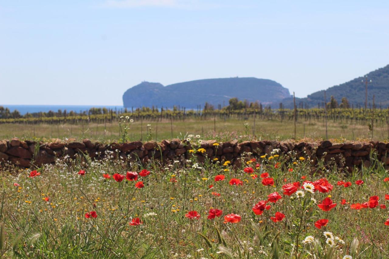 Agriturismo Graziano e Barbara Porto Conte Esterno foto
